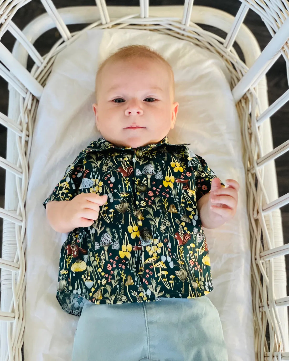 Baby Alder Collared Shirt Digital Sewing Pattern
