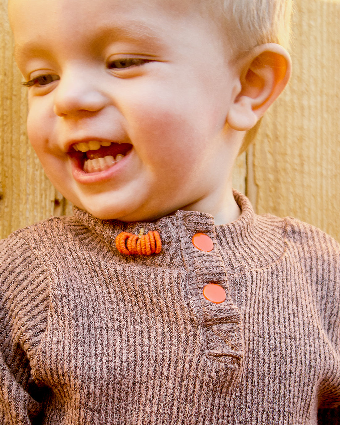 Pumpkin Patch Embroidery Pattern | Sunflower Seams Pattern Company | Digital PDF Embroidery Pattern