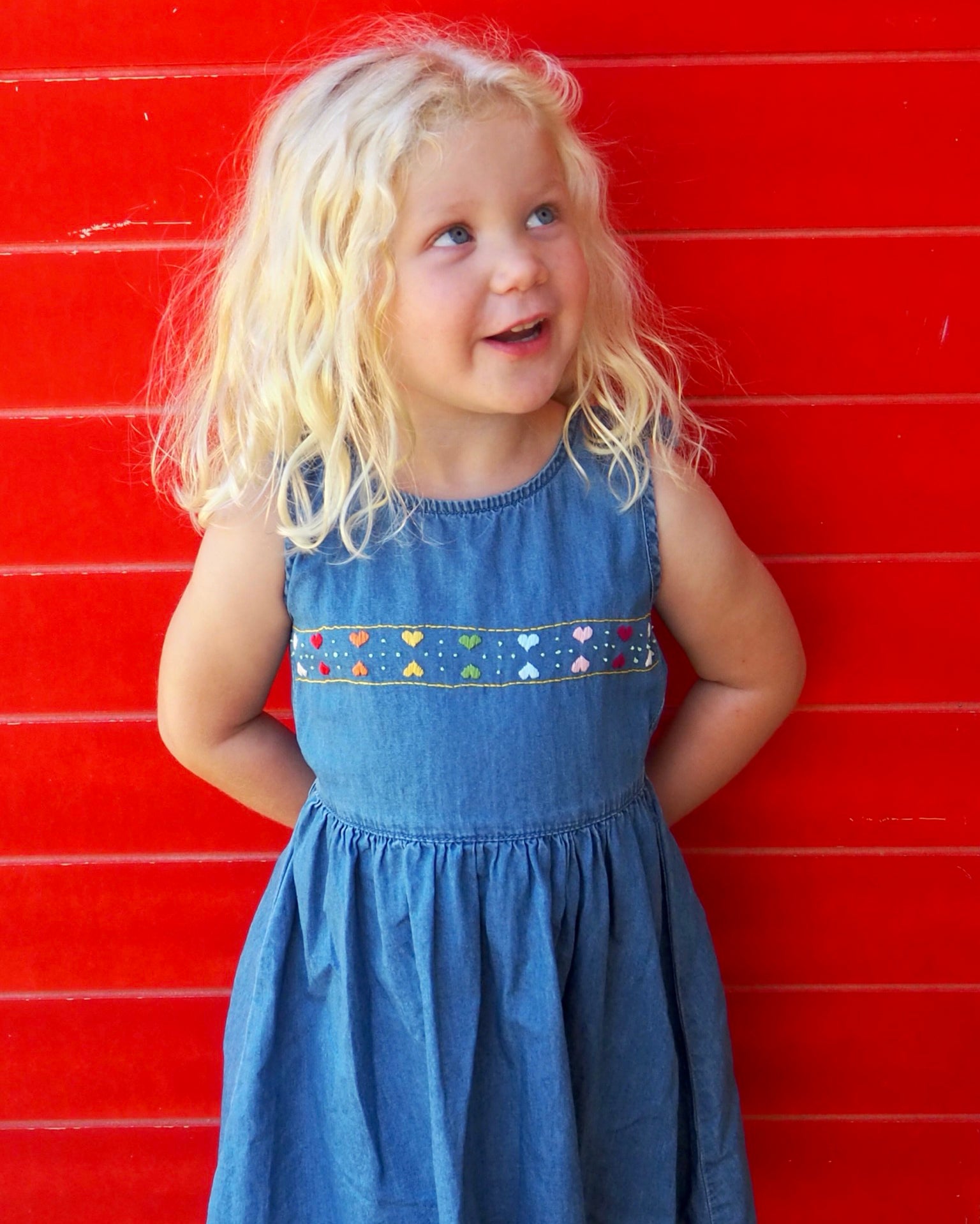 Baby / Toddler Girl Sunflower Decor Denim Sleeveless Dress