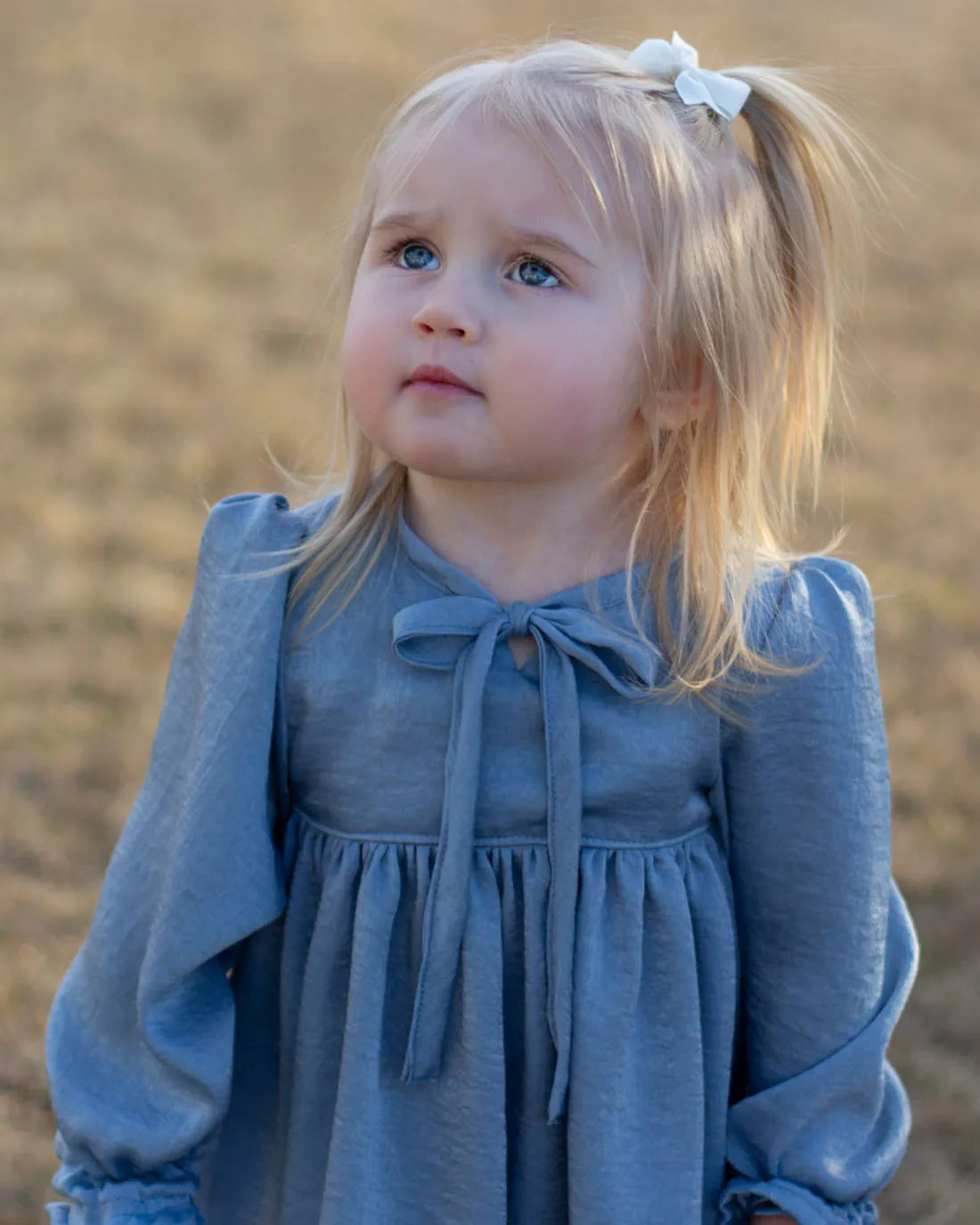 Baby Laurel Top & Dress Digital Sewing Pattern
